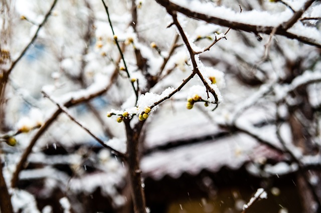 掌控